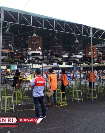 Profile Archives Birdaily